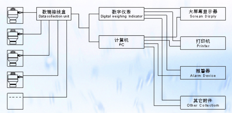 ZSW-D型FB绿巨人视频免费下载在线观看称重系统示意图